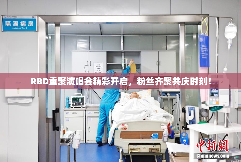 RBD重聚演唱会精彩开启，粉丝齐聚共庆时刻！