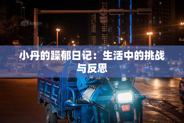 小丹的躁郁日记：生活中的挑战与反思