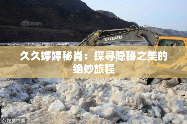 久久婷婷秘肖：探寻隐秘之美的绝妙旅程