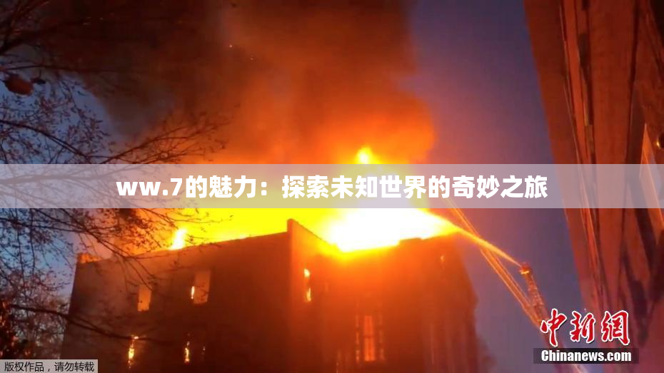 ww.7的魅力：探索未知世界的奇妙之旅