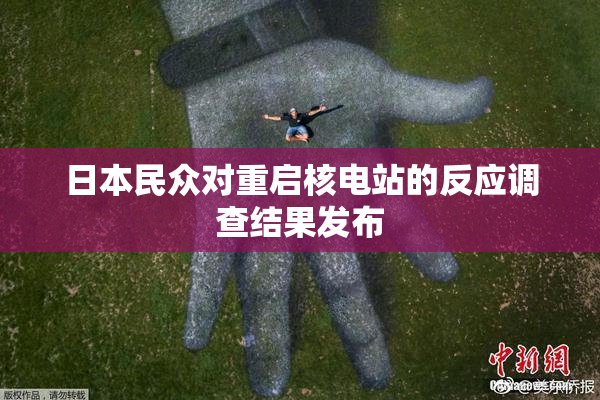 日本民众对重启核电站的反应调查结果发布