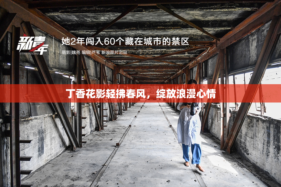 丁香花影轻拂春风，绽放浪漫心情