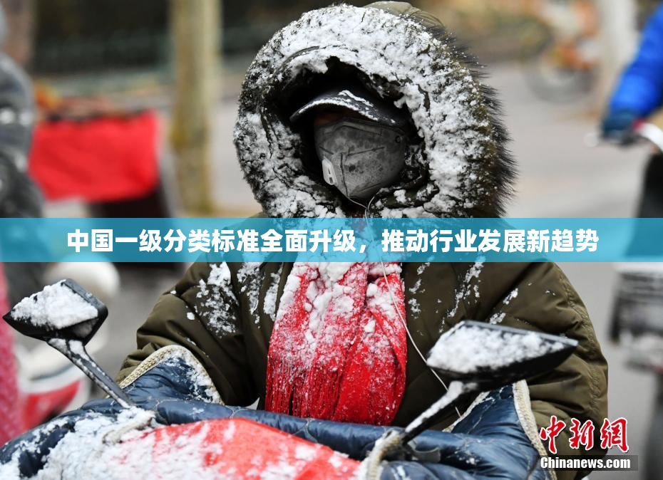 中国一级分类标准全面升级，推动行业发展新趋势