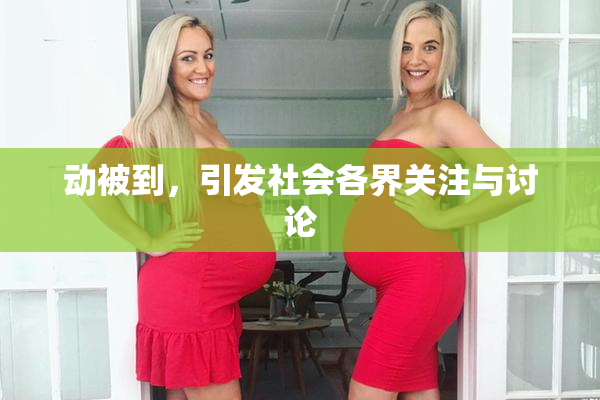 动被到，引发社会各界关注与讨论