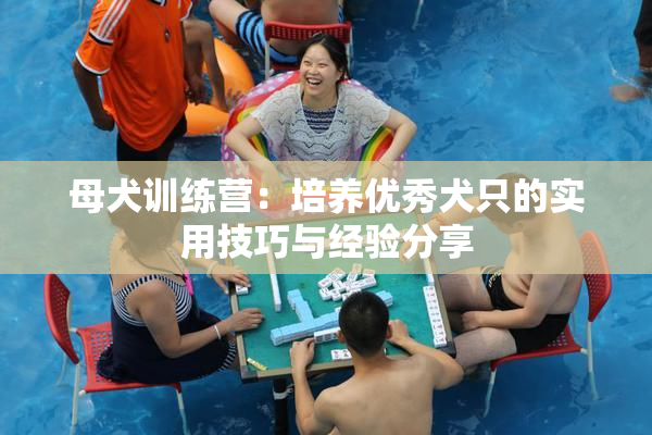母犬训练营：培养优秀犬只的实用技巧与经验分享