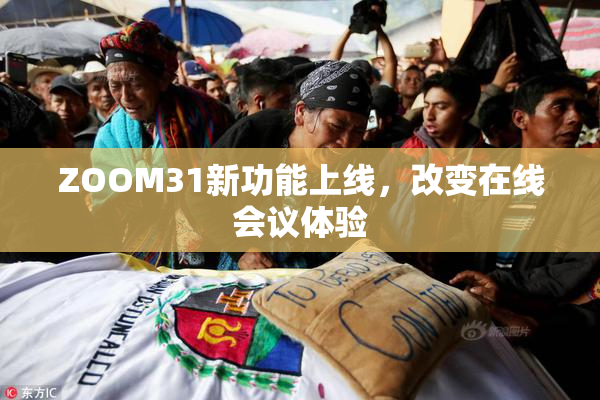 ZOOM31新功能上线，改变在线会议体验