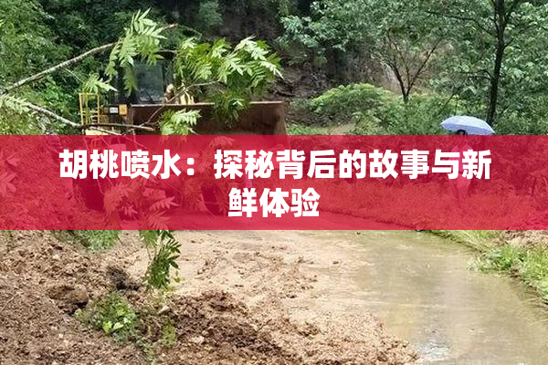 胡桃喷水：探秘背后的故事与新鲜体验