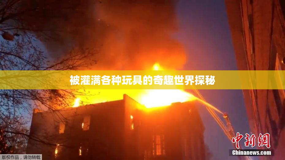 被灌满各种玩具的奇趣世界探秘
