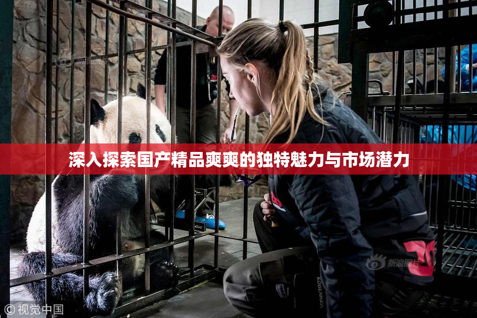 深入探索国产精品爽爽的独特魅力与市场潜力