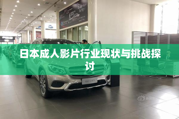 日本成人影片行业现状与挑战探讨