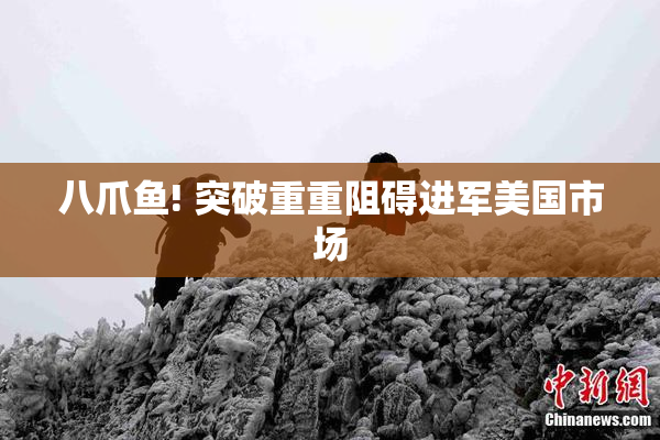 八爪鱼! 突破重重阻碍进军美国市场