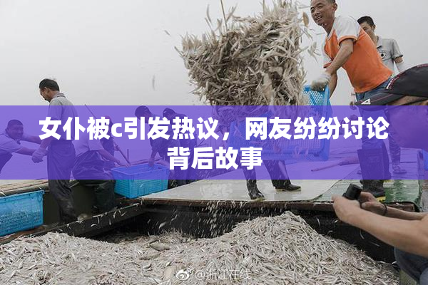 女仆被c引发热议，网友纷纷讨论背后故事