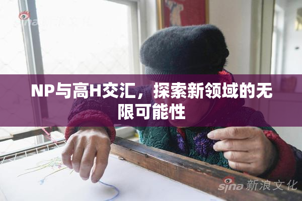 NP与高H交汇，探索新领域的无限可能性