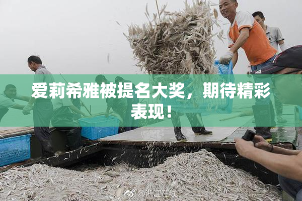 爱莉希雅被提名大奖，期待精彩表现！