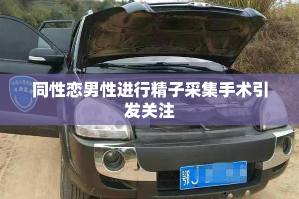 同性恋男性进行精子采集手术引发关注