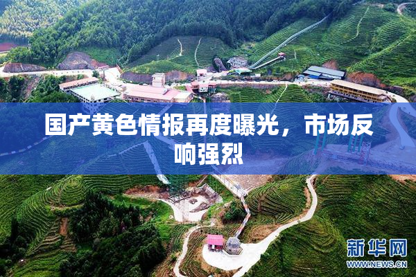 国产黄色情报再度曝光，市场反响强烈
