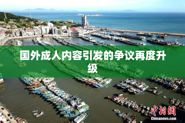 国外成人内容引发的争议再度升级