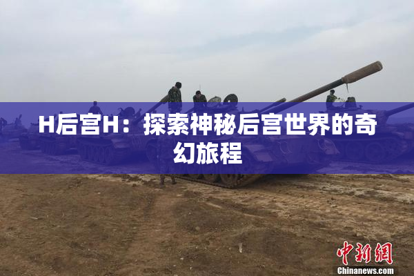 H后宫H：探索神秘后宫世界的奇幻旅程
