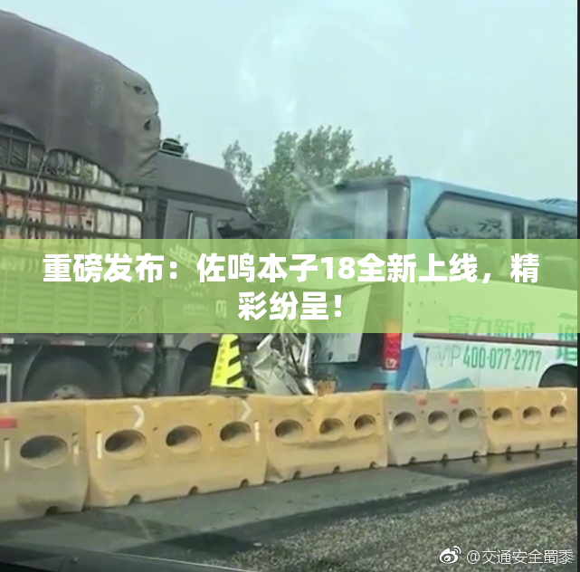 重磅发布：佐鸣本子18全新上线，精彩纷呈！