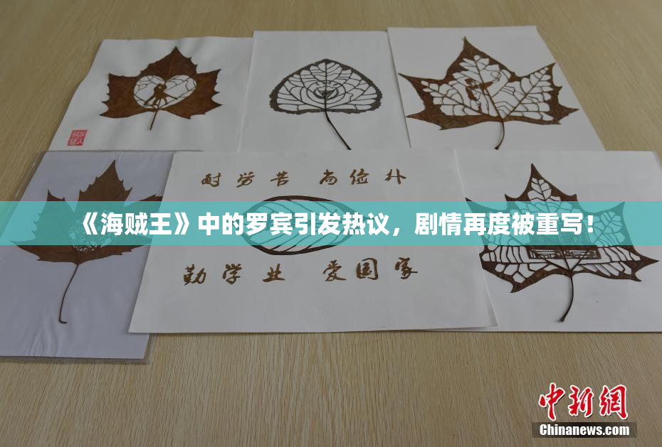 《海贼王》中的罗宾引发热议，剧情再度被重写！