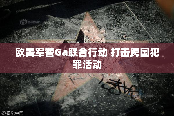 欧美军警Ga联合行动 打击跨国犯罪活动