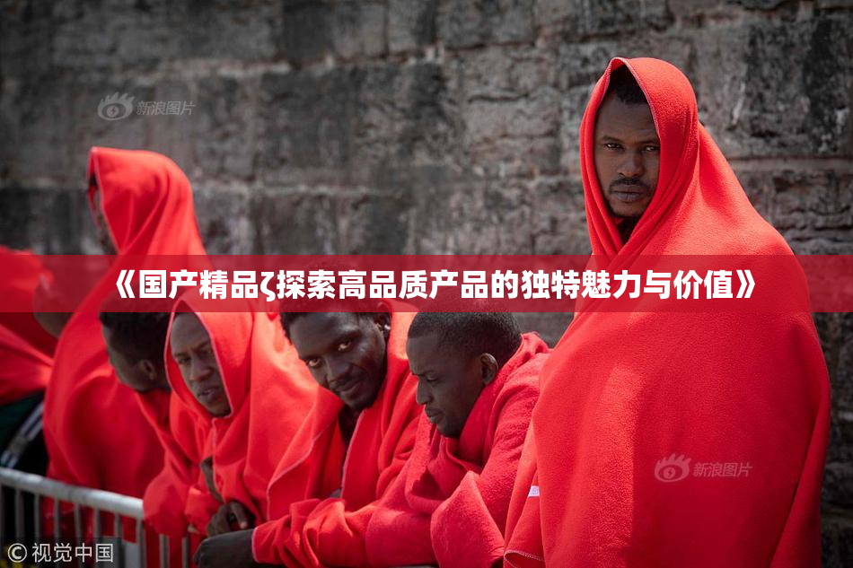 《国产精品ζ探索高品质产品的独特魅力与价值》