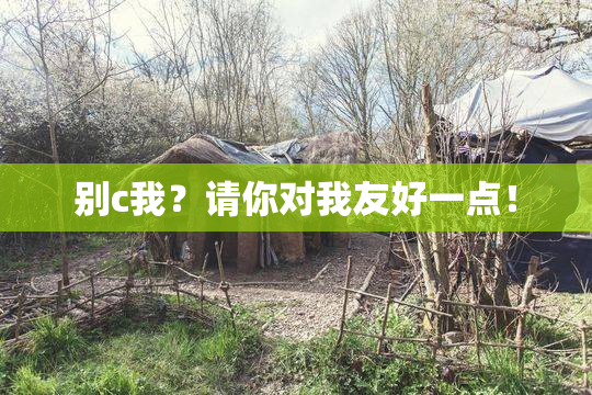 别c我？请你对我友好一点！