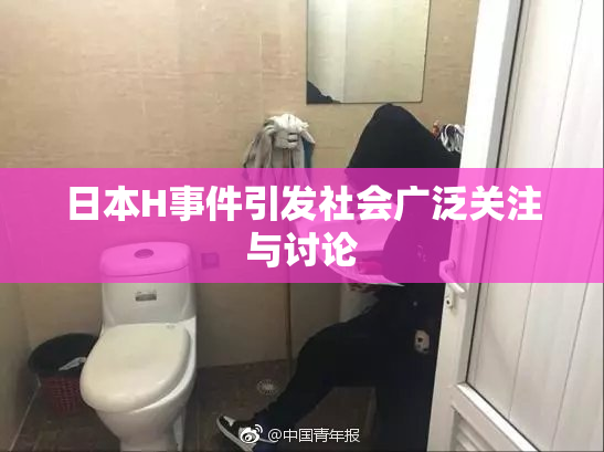 日本H事件引发社会广泛关注与讨论
