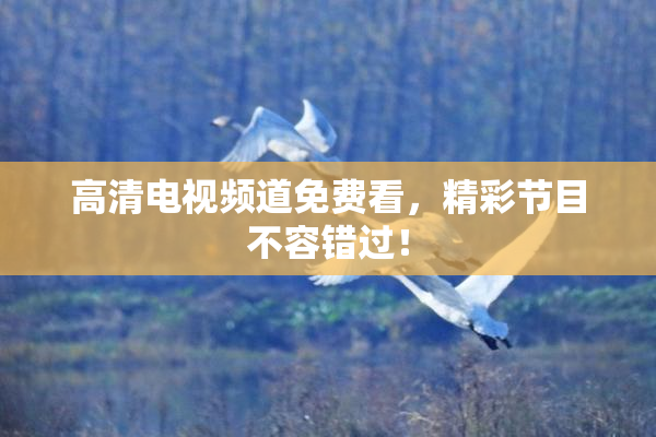 高清电视频道免费看，精彩节目不容错过！