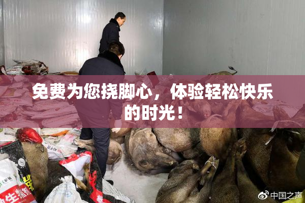 免费为您挠脚心，体验轻松快乐的时光！