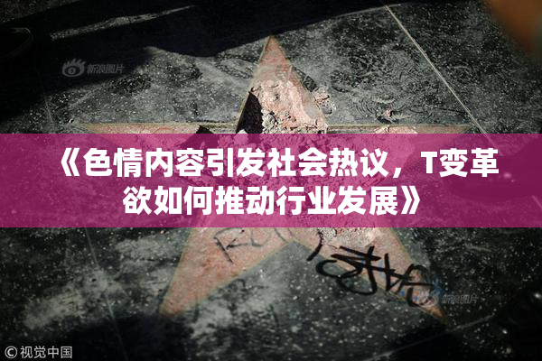 《色情内容引发社会热议，T变革欲如何推动行业发展》