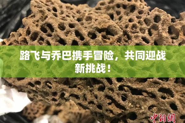 路飞与乔巴携手冒险，共同迎战新挑战！