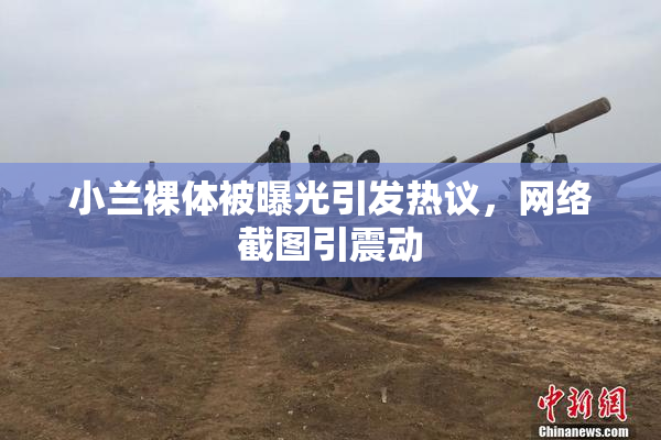 小兰裸体被曝光引发热议，网络截图引震动