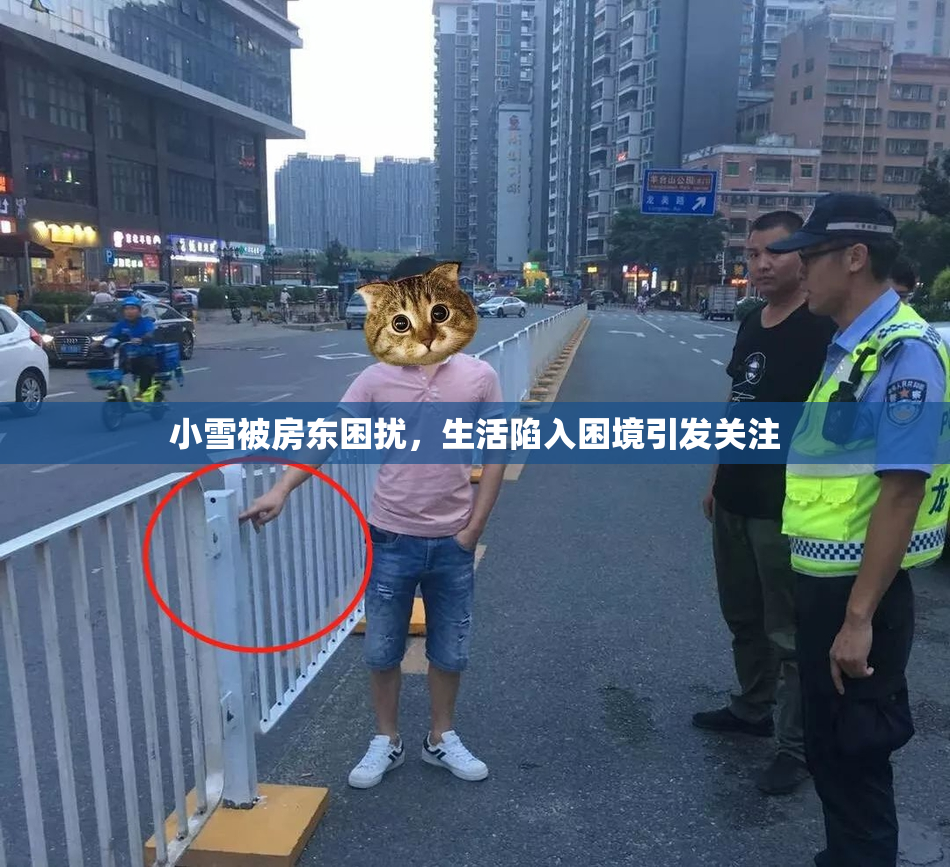 小雪被房东困扰，生活陷入困境引发关注