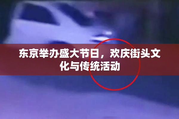 东京举办盛大节日，欢庆街头文化与传统活动
