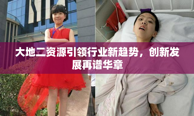 大地二资源引领行业新趋势，创新发展再谱华章