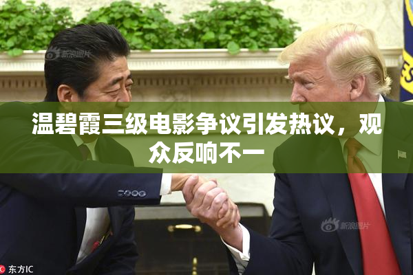 温碧霞三级电影争议引发热议，观众反响不一
