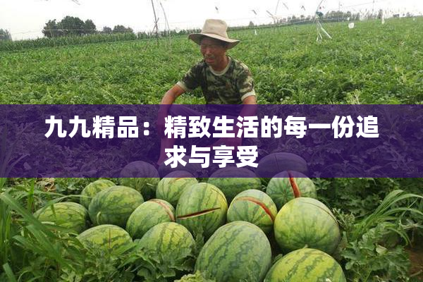 九九精品：精致生活的每一份追求与享受