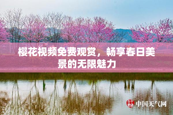 樱花视频免费观赏，畅享春日美景的无限魅力