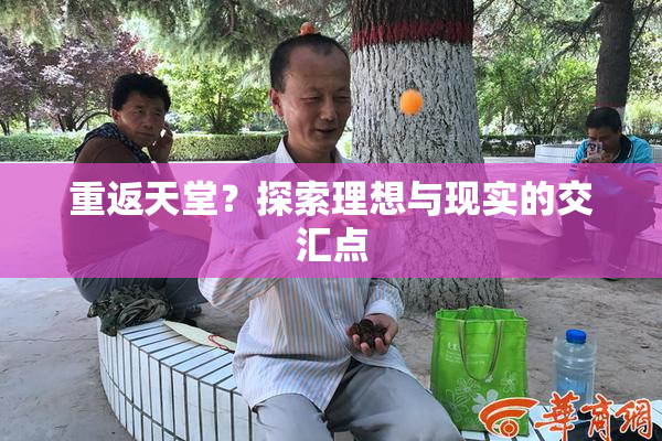 重返天堂？探索理想与现实的交汇点