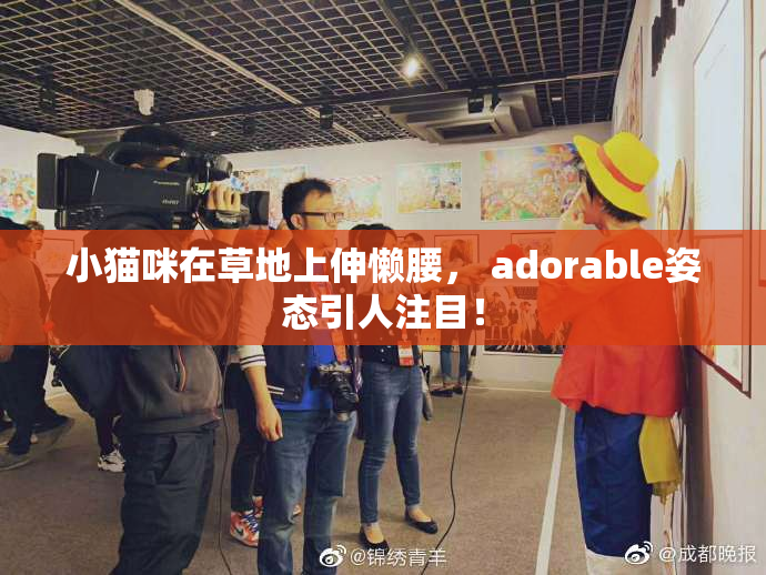 小猫咪在草地上伸懒腰， adorable姿态引人注目！