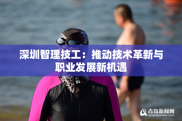 深圳智理技工：推动技术革新与职业发展新机遇