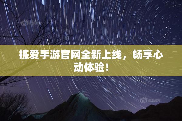 拣爱手游官网全新上线，畅享心动体验！