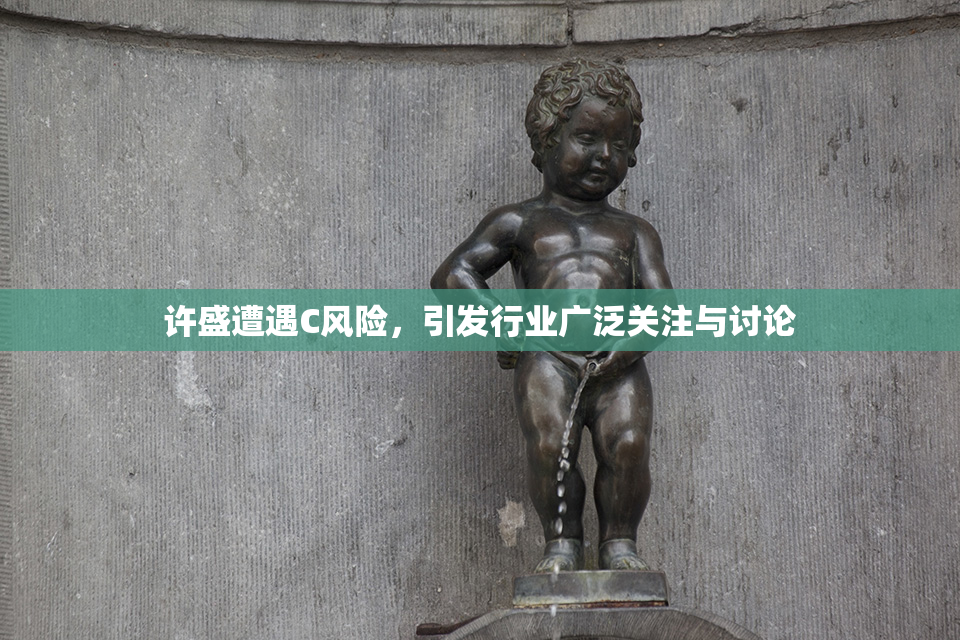 许盛遭遇C风险，引发行业广泛关注与讨论