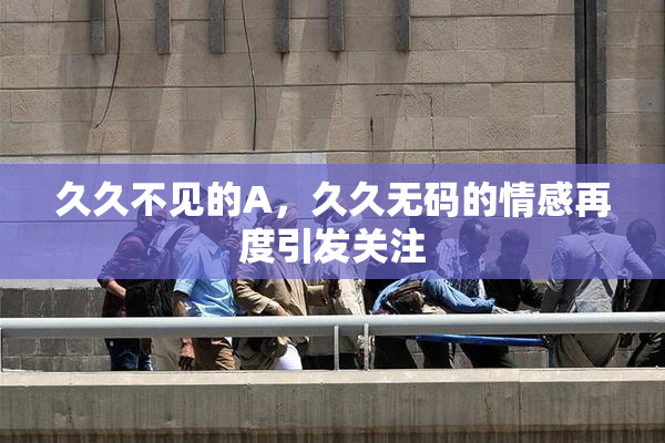 久久不见的A，久久无码的情感再度引发关注