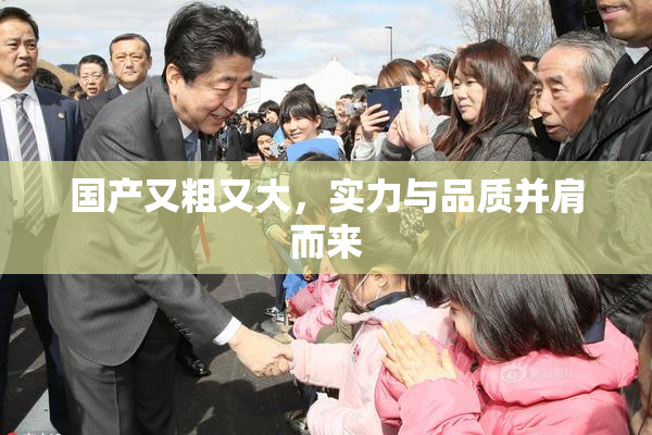 国产又粗又大，实力与品质并肩而来