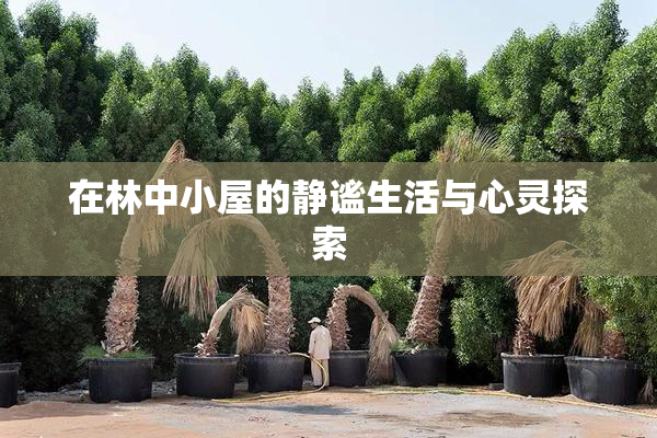 在林中小屋的静谧生活与心灵探索