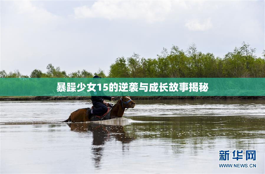 暴躁少女15的逆袭与成长故事揭秘