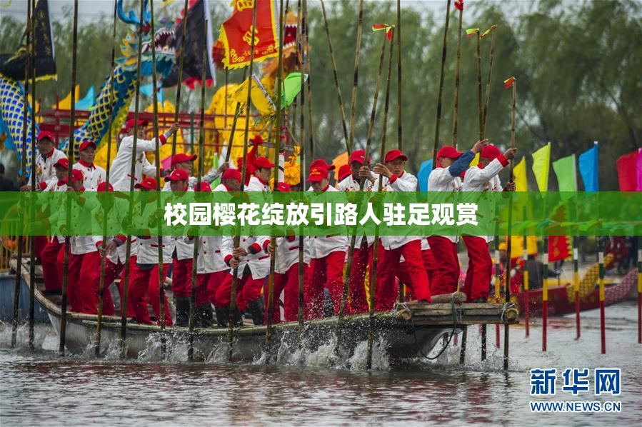 校园樱花绽放引路人驻足观赏