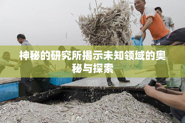 神秘的研究所揭示未知领域的奥秘与探索